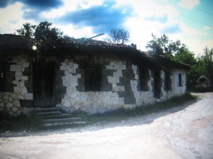 IMG_7524