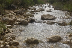 20140406_113753